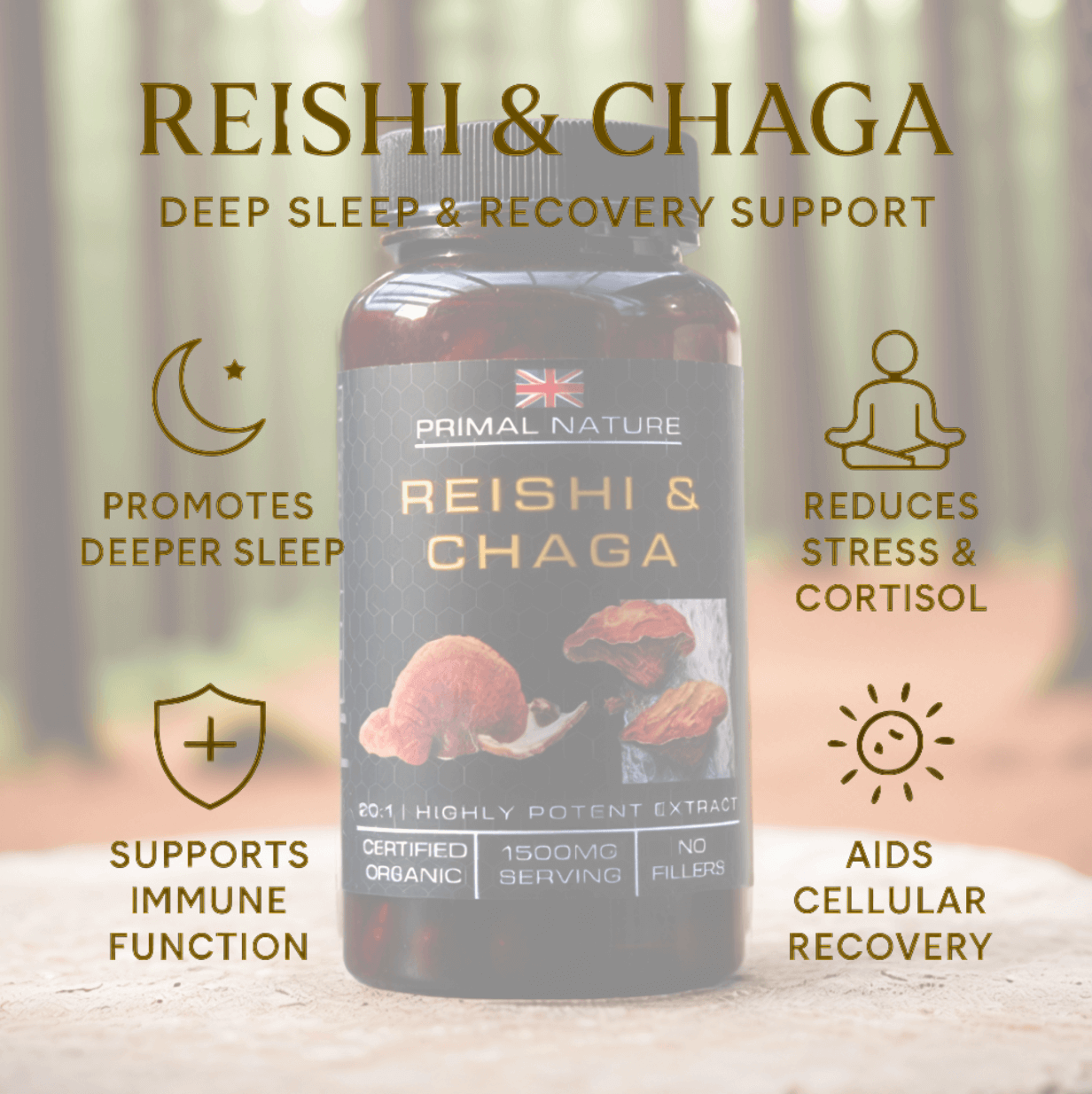 Organic Reishi and Chaga