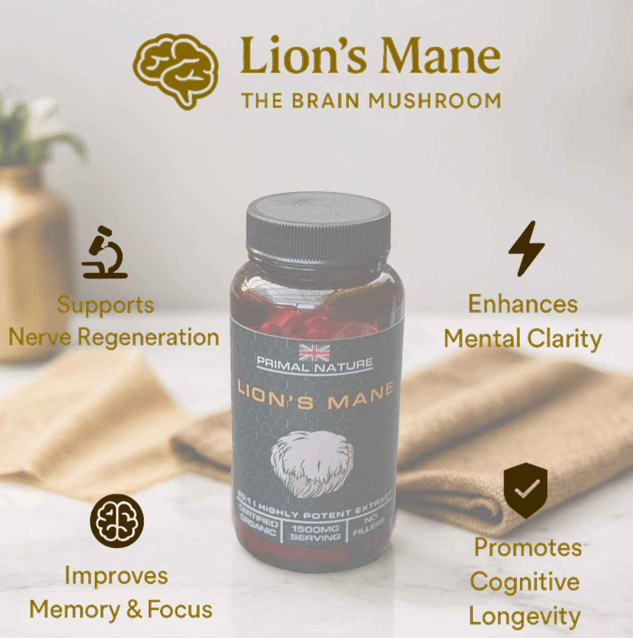 Organic Lion's Mane - Primal Nature