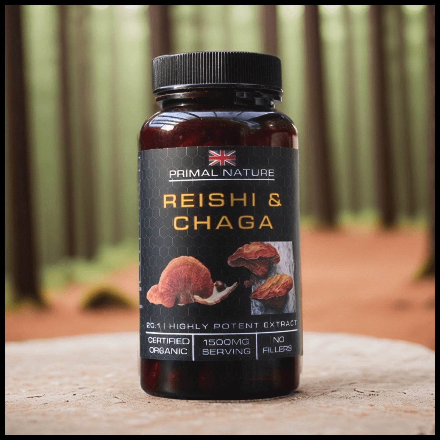 Organic Reishi and Chaga