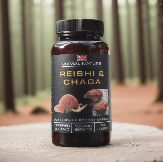 Organic Reishi and Chaga