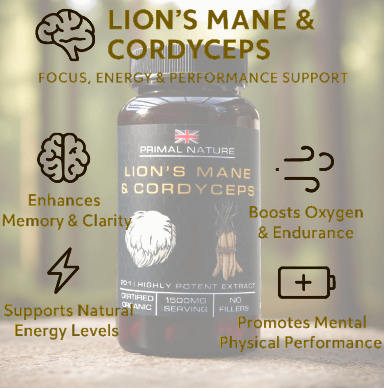 Organic Lion's Mane & Cordyceps