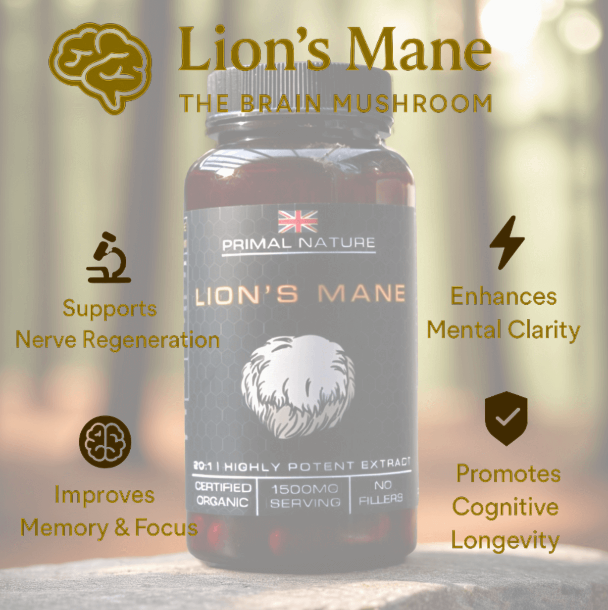 Organic Lion's Mane